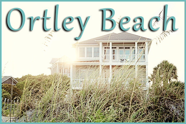 Large beachfront Ortley Beach real estate vacation home
